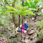 林内歩道解禁一発目