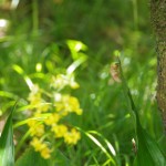 残暑お見舞いです。