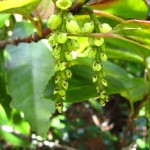 サンクチュアリ散歩