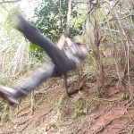 ちょいとお高め