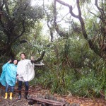 幸せの雨！雨！