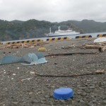 待ってました！