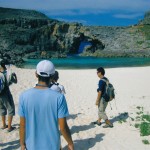 東京都自然ガイド認定講習（南島）