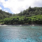 釣浜を海側から観る